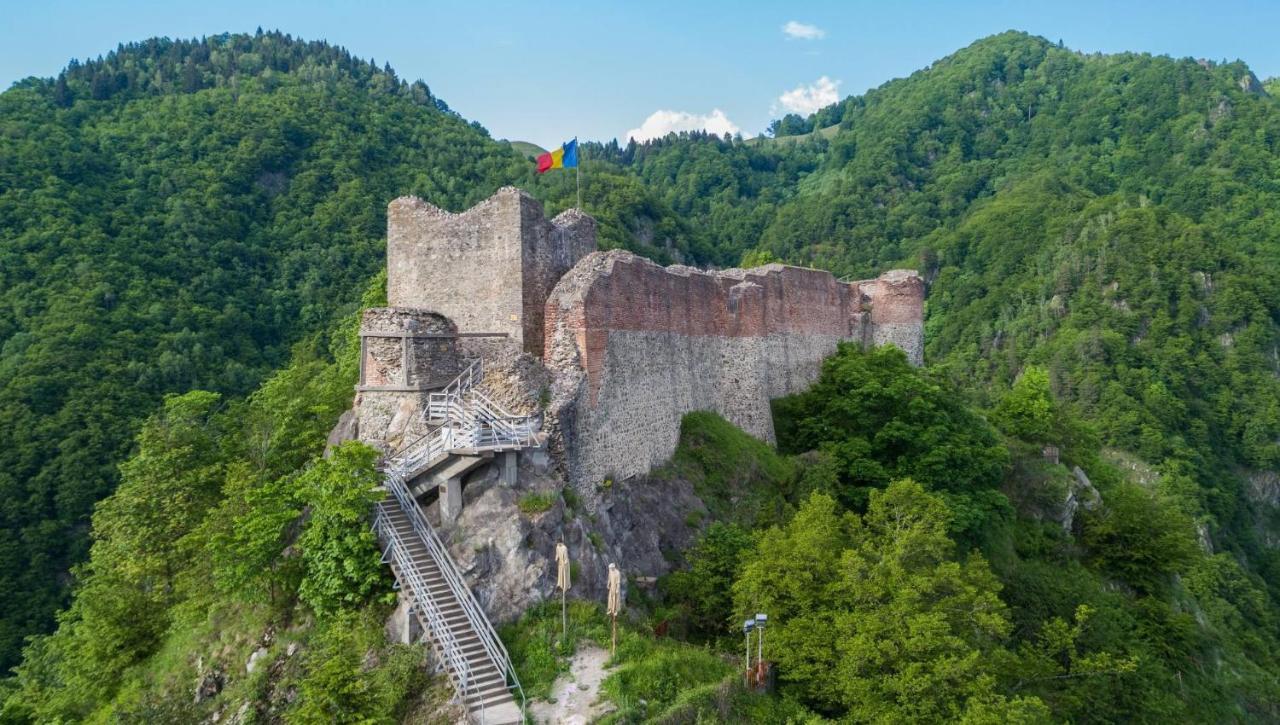 Casa Lupilor Transfagarasan Villa Căpăţîneni-Ungureni Екстериор снимка