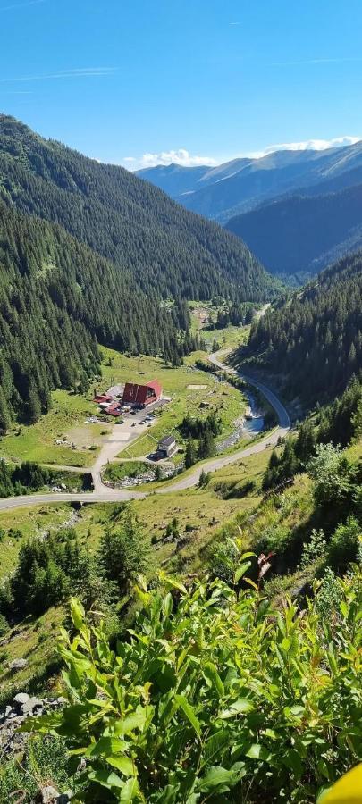 Casa Lupilor Transfagarasan Villa Căpăţîneni-Ungureni Екстериор снимка