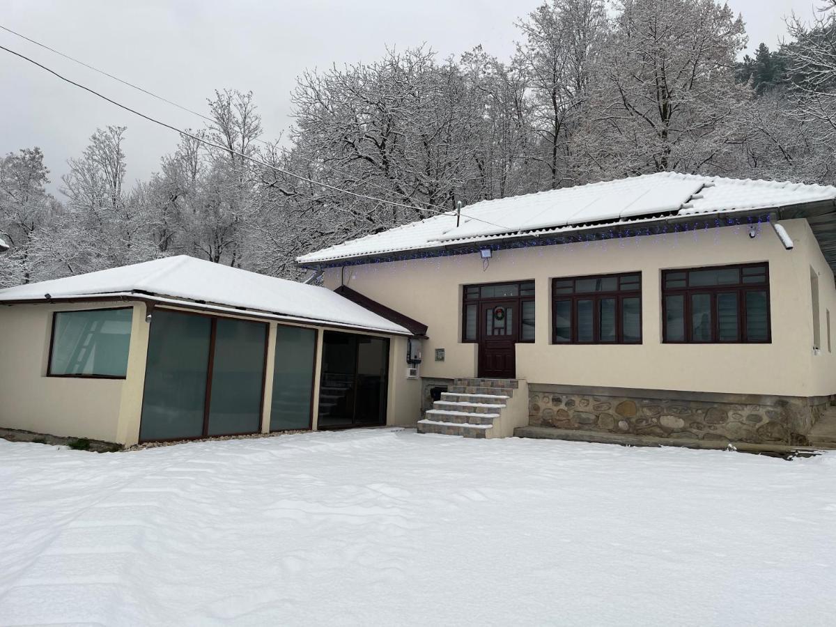 Casa Lupilor Transfagarasan Villa Căpăţîneni-Ungureni Екстериор снимка