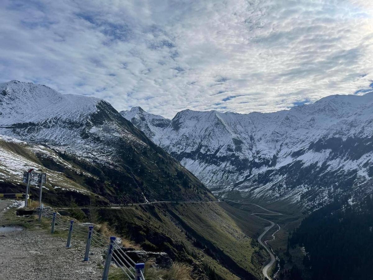 Casa Lupilor Transfagarasan Villa Căpăţîneni-Ungureni Екстериор снимка