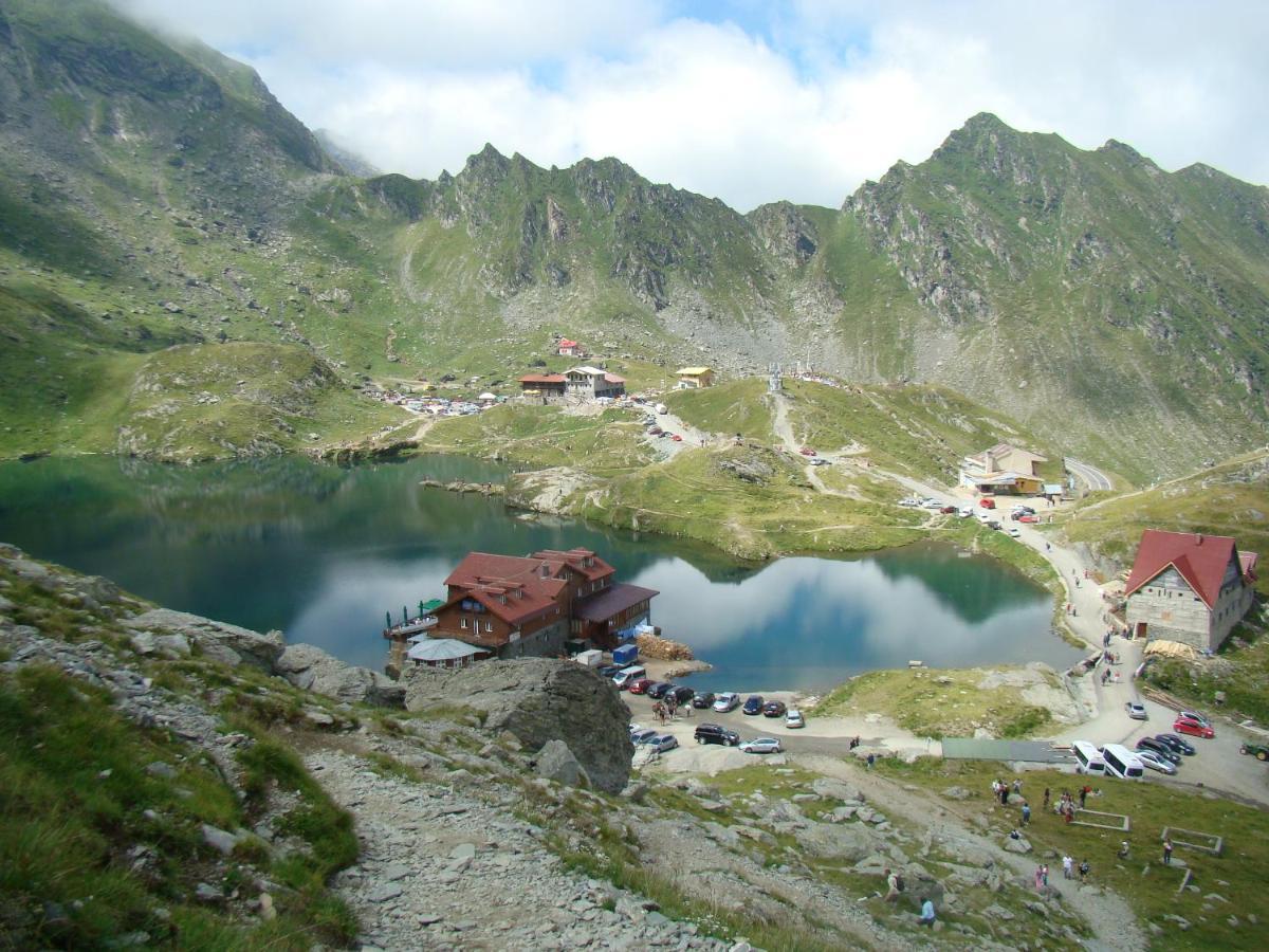 Casa Lupilor Transfagarasan Villa Căpăţîneni-Ungureni Екстериор снимка