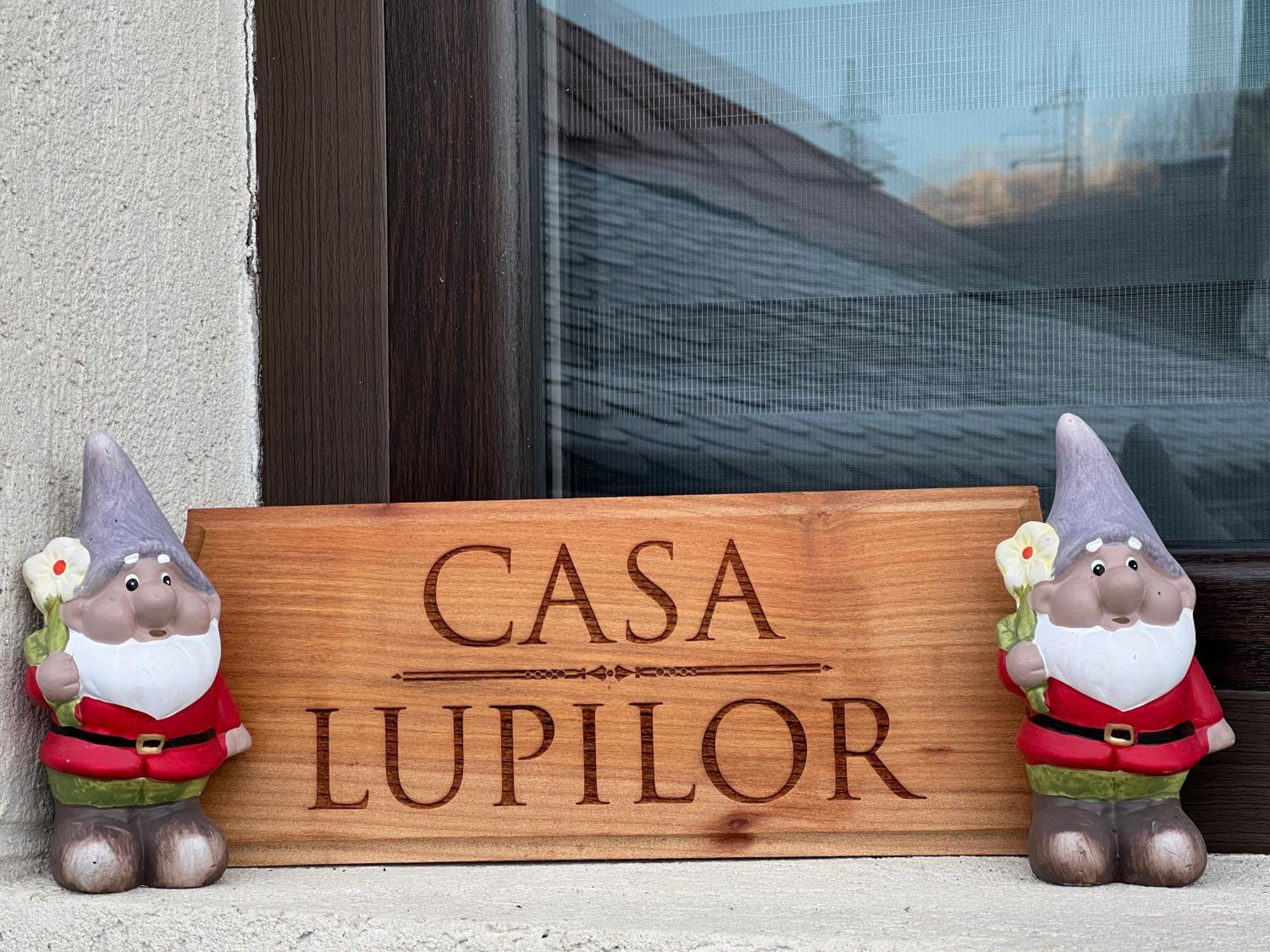 Casa Lupilor Transfagarasan Villa Căpăţîneni-Ungureni Екстериор снимка