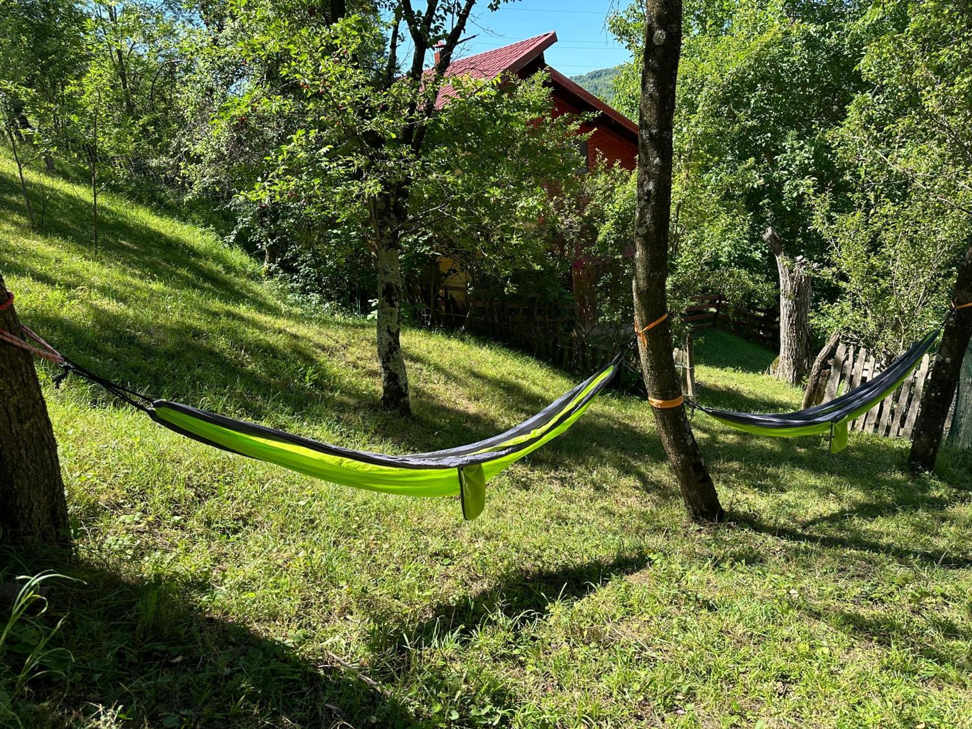 Casa Lupilor Transfagarasan Villa Căpăţîneni-Ungureni Екстериор снимка