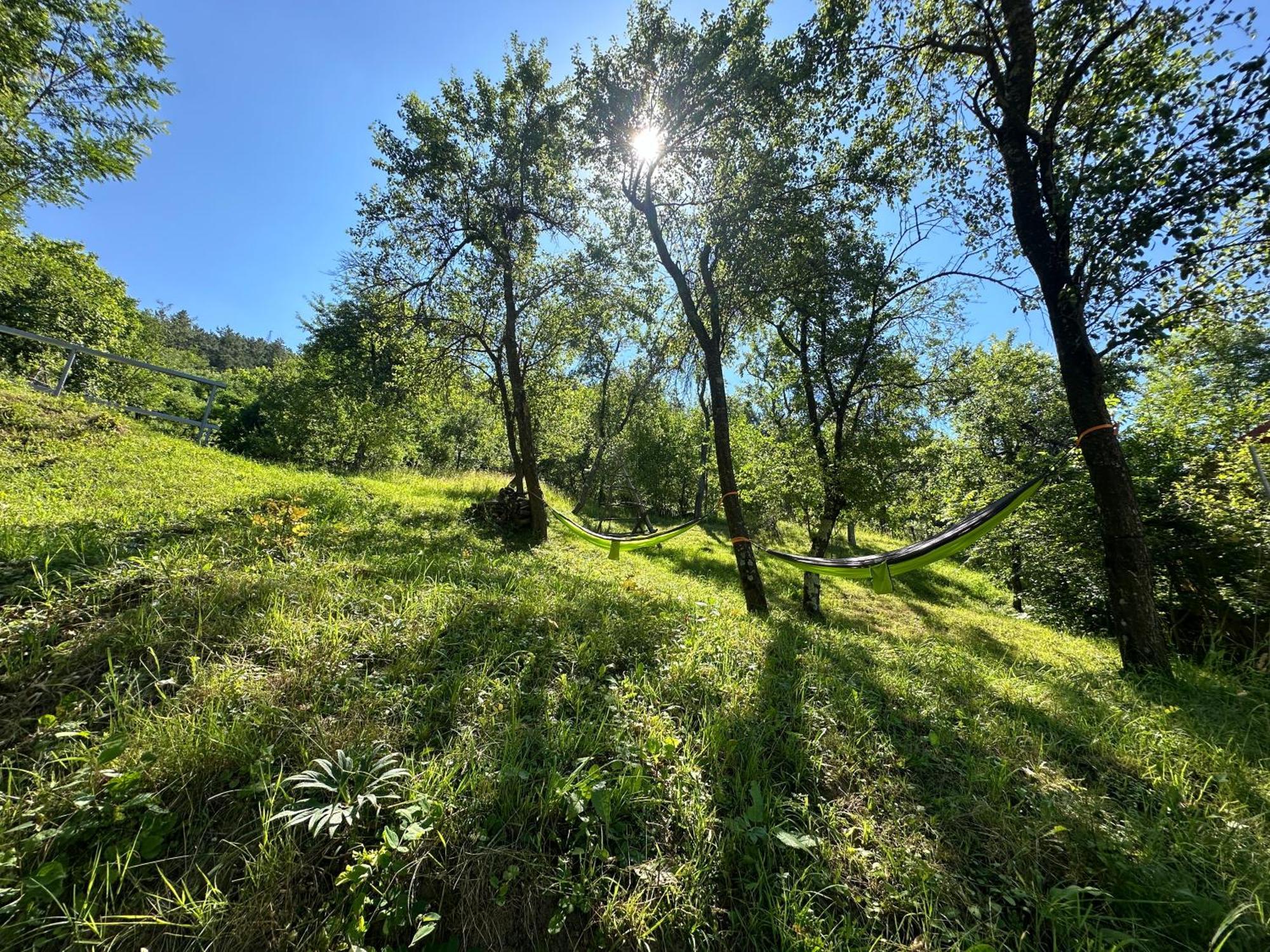 Casa Lupilor Transfagarasan Villa Căpăţîneni-Ungureni Екстериор снимка